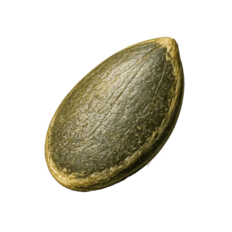 Seeds