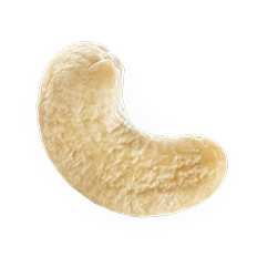 Cashews